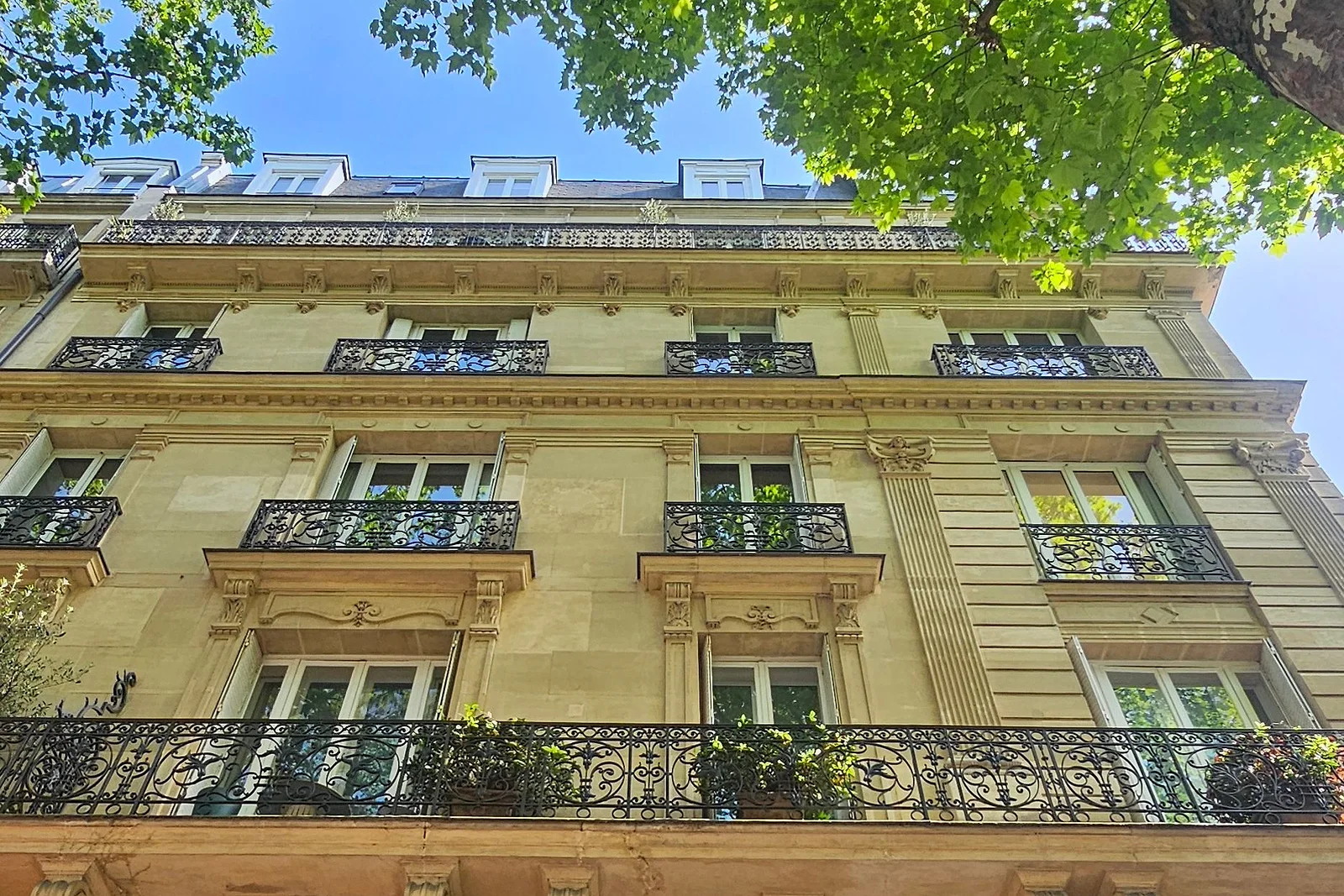 Immeuble en pierre de taille sous les platanes, balcon filant fleuri