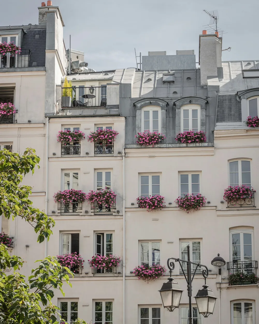 Façade claire aux jardinières fleuries et réverbère